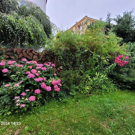 Renatka Przy Plazy Apartment Uniescie Exterior photo