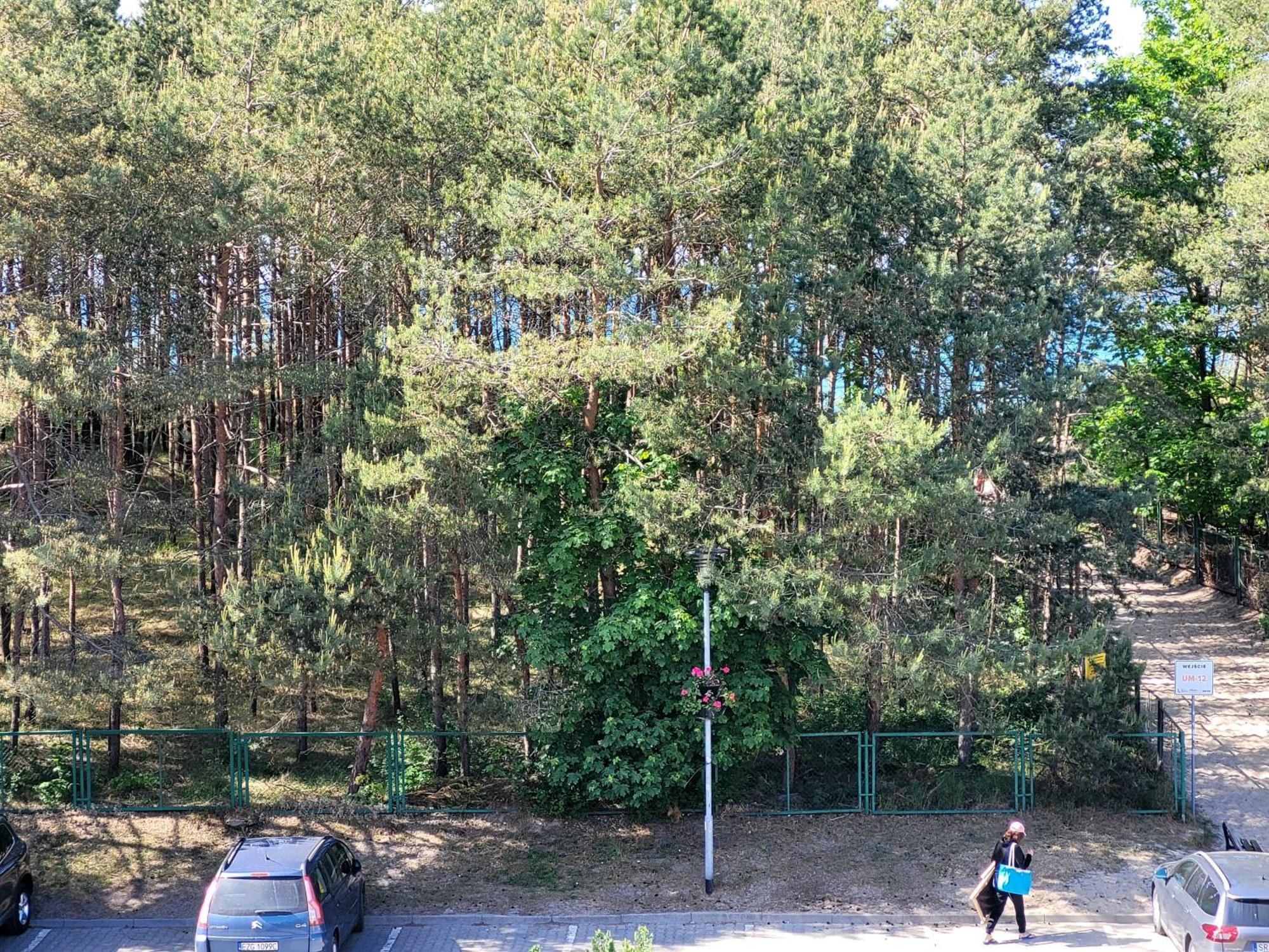 Apartment Renatka Przy Plazy *